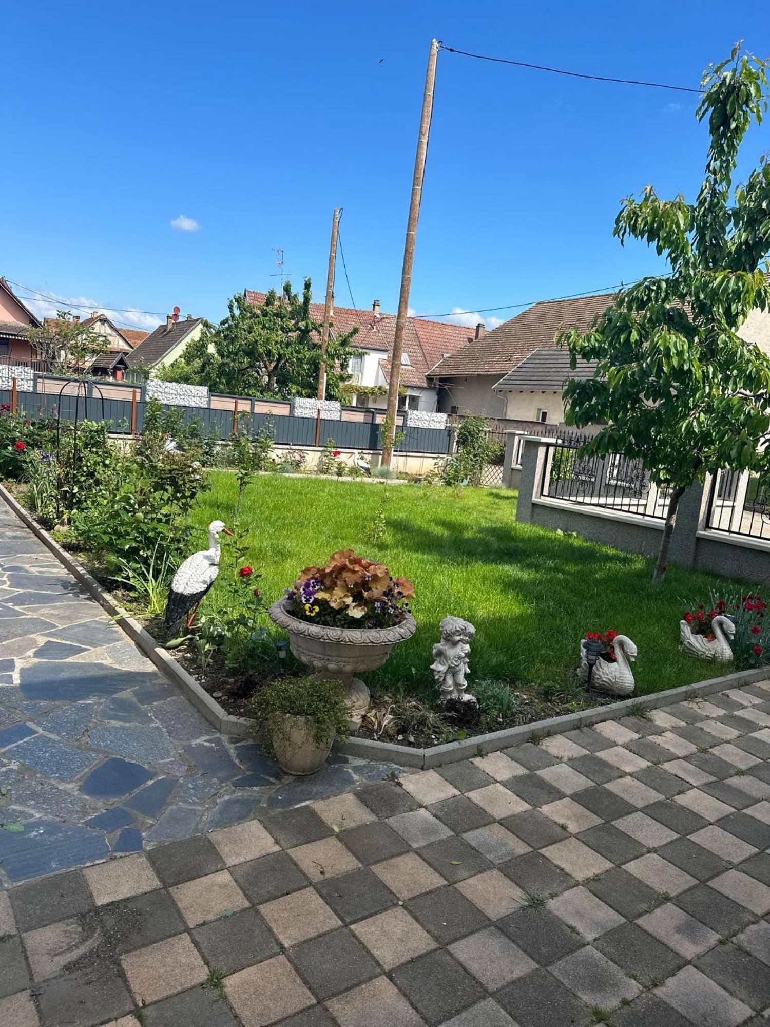 Appartement Entre Strasbourg Et Colmar - Proche D'Europa Park Sermersheim Zewnętrze zdjęcie